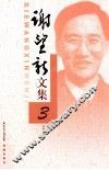 谢望新文集  3  文学评论 封面