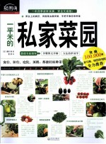 一平米的私家菜园 封面