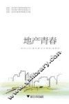 地产青春 封面