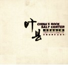 叶县  中国岩盐之都  中国名牌矿业城市 封面