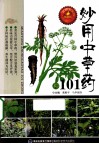 妙用中草药101种  畅销版 封面