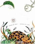 美丽成长  卵，如此安宁 封面