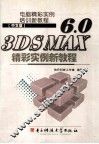 电脑精彩实例培训新教程  中文版  3DSMAX 6.0  精彩实例新教程 封面