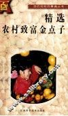 精选农村致富金点子 封面