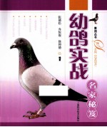 幼鸽实战名家秘笈 封面