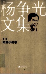 杨争光文集  卷6  短篇小说卷 封面