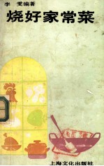 烧好家常菜 封面