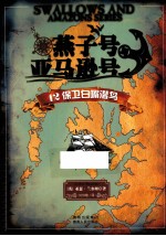 燕子号与亚马逊号  12  保卫白嘴潜鸟 封面