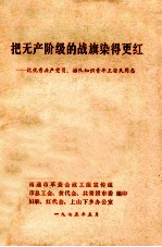 把无产阶级的战旗染得更红  记优秀共产党员、插队知识青年王安民同志 封面