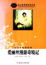 爱丽丝漫游奇境记 封面