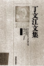 丁文江文集  第7卷 电子书封面