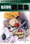 色彩静物蔬菜集  范本 封面