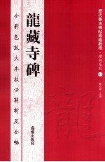 龙藏寺碑  全彩色放大本技法解析及全帖 封面