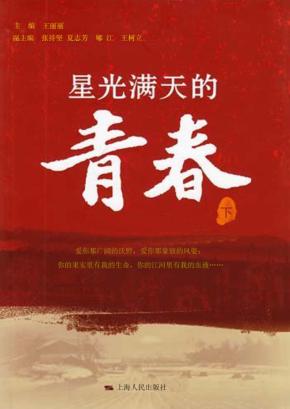 星光满天的青春  下 封面