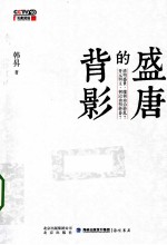 盛唐的背影 封面