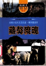 动物小说大王沈石溪精华爱读本  藏獒渡魂 封面