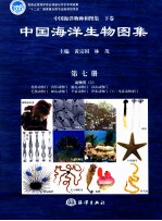 中国海洋生物图集  第7册 封面