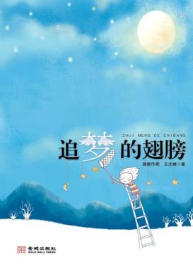 追梦的翅膀 封面