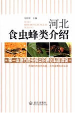河北食虫蜂类介绍 封面
