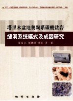 塔里木盆地奥陶系碳酸盐岩缝洞系统模式及成因研究 封面