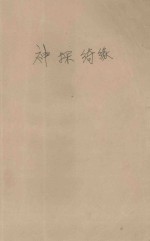 神探绮缘 封面