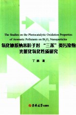 氧化铋系纳米粒子对“三苯”类污染物光催化氧化性质研究 封面