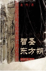 智圣东方朔  文侠小说·铁血卷·天怒  下 封面