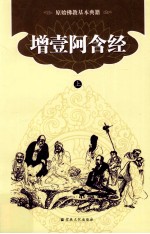 原始佛教基本典籍  增壹阿含经  上 封面