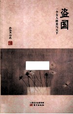 盗国  一个女人的爱与天下 封面