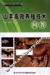 山羊高效养殖技术问答 封面