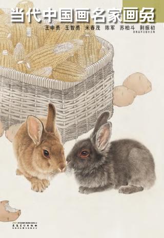 当代中国画名家画兔综合卷  王申勇、王智勇、朱春茂、陈军、荆振初 封面