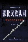 强化民族认同  数码时代的文化选择 封面