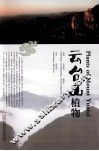 云台山植物 封面