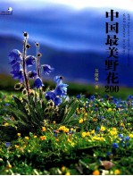 中国最美野花  200 封面