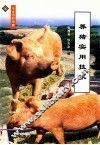 养猪实用技术 封面