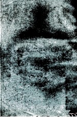 染化料基础知识  上 封面