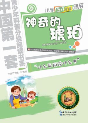 神奇的琥珀  五、六年级适用 封面