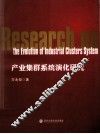产业集群系统演化研究 封面