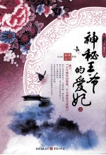 神秘王爷的爱妃  上 封面