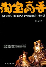 淘宝高手  淘宝淘尽世间珍宝  收藏崛起亿万富豪 封面