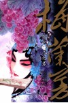 梅兰芳  卷2  兰之卷 封面
