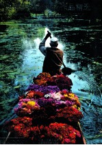 史蒂夫·麦凯瑞作品精选 封面