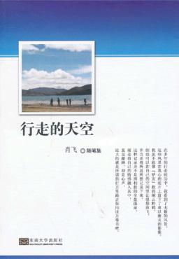 行走的天空  随笔集 封面