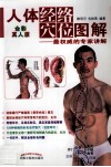 人体经络穴位图解  最权威的专家讲解  全彩真人版