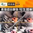 素描组合静物写生图解 封面