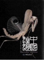 中国螳螂 封面