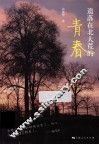 遗落在北大荒的青春 封面