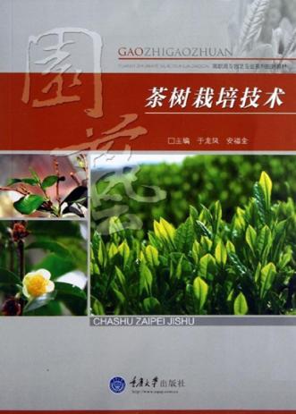 茶树栽培技术 封面