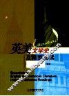 英美文学史及精要选读 封面