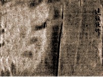 陕西省建设厅建设统计 封面